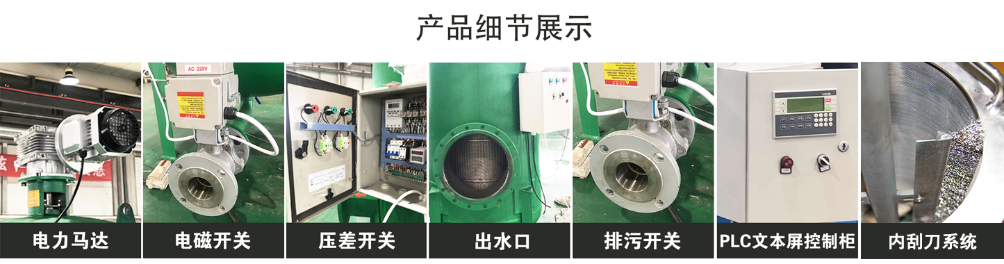 DN80自清洗过滤器